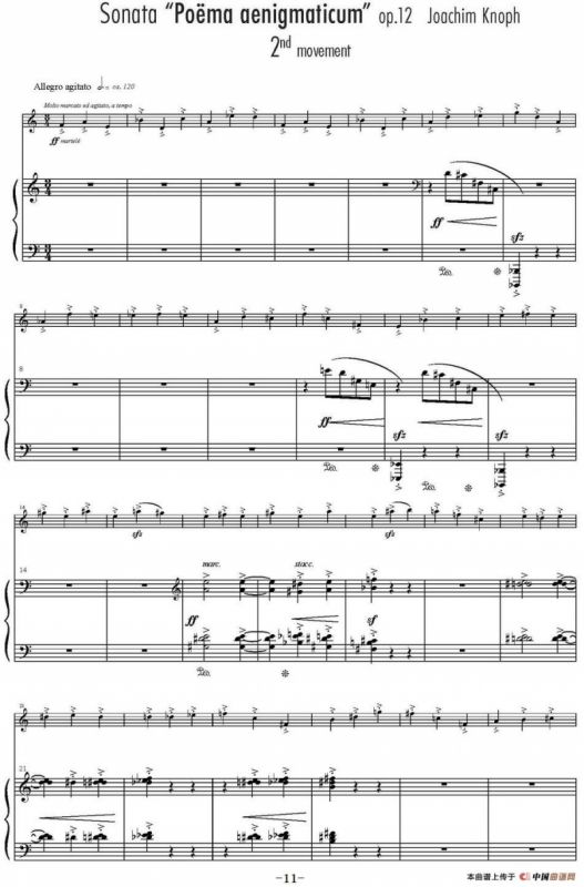 Sonata Poema aenigmaticum（小提琴+钢琴伴奏、2nd movement）