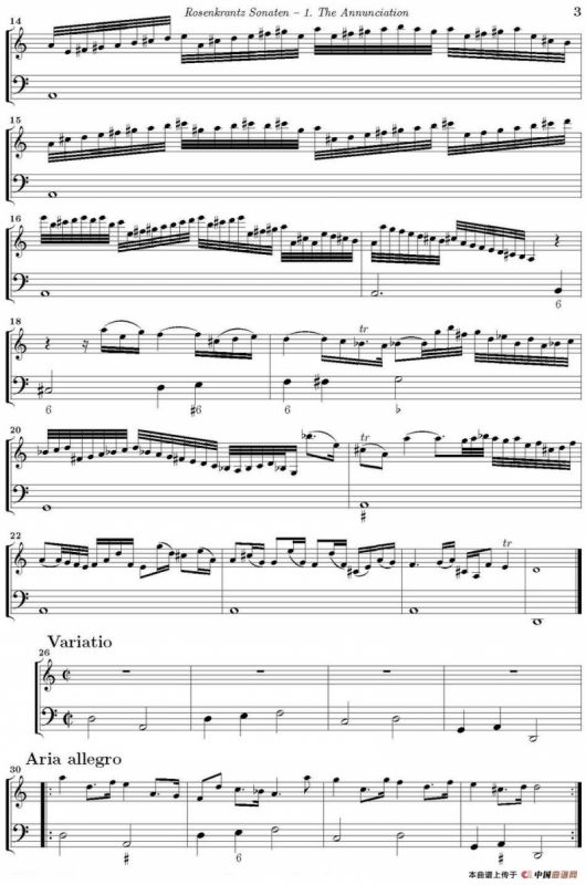 The Annunciation（小提琴+大提琴）