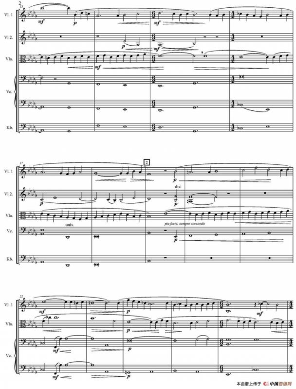 Adagio For Strings 弦乐柔板（五重奏）