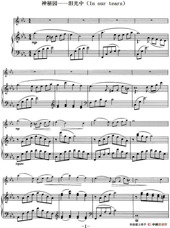 神秘园——泪光中（In our tears）