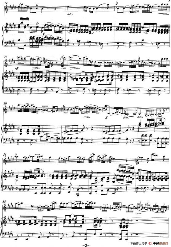 Adagio（小提琴+钢琴伴奏）