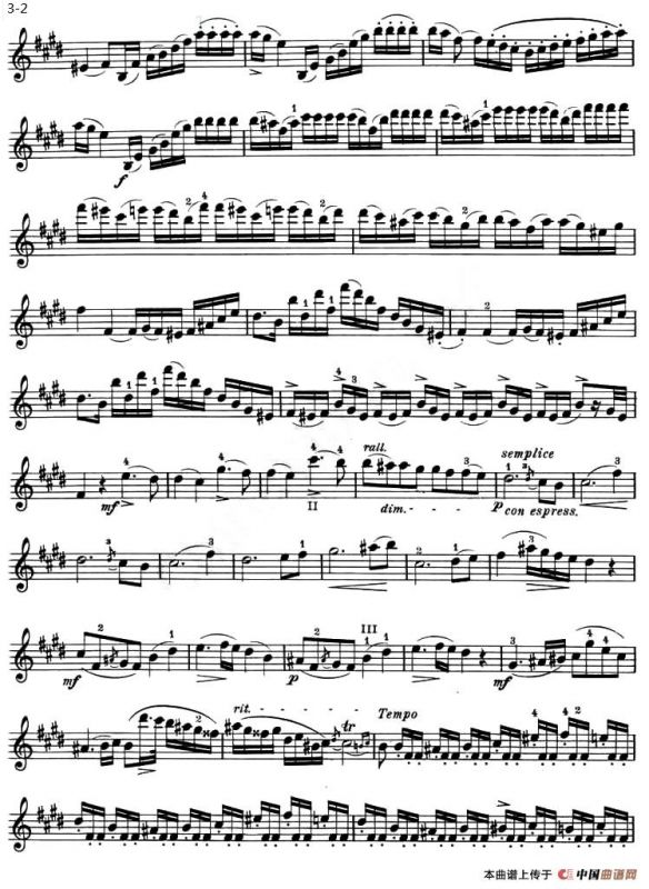 ALLEGRO MAESTOSO（庄严的快板）