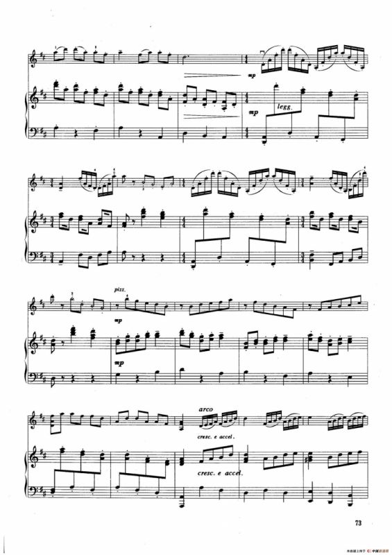 竹楼月夜（小提琴+钢琴伴奏）