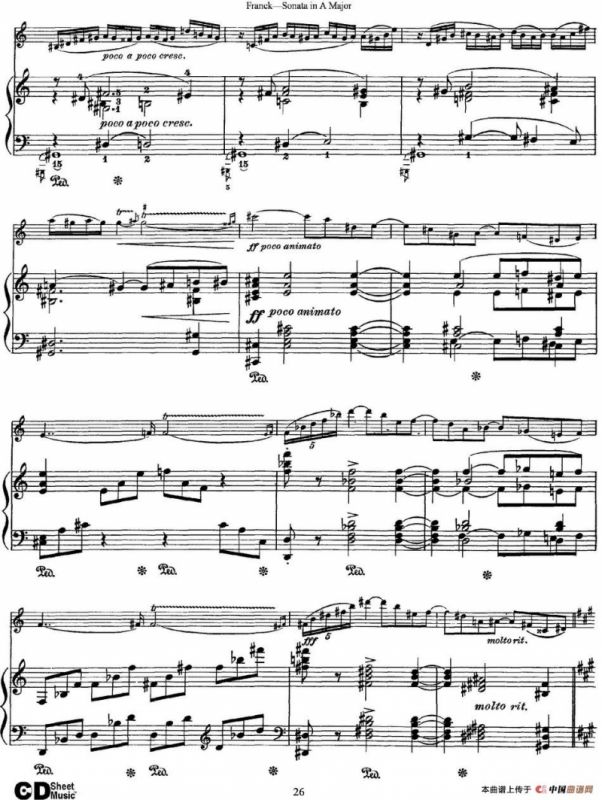 Franck Sonata in A Major（小提琴+钢琴伴奏）