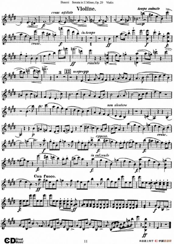 Violin Sonata No.1 in E Minor Op.29