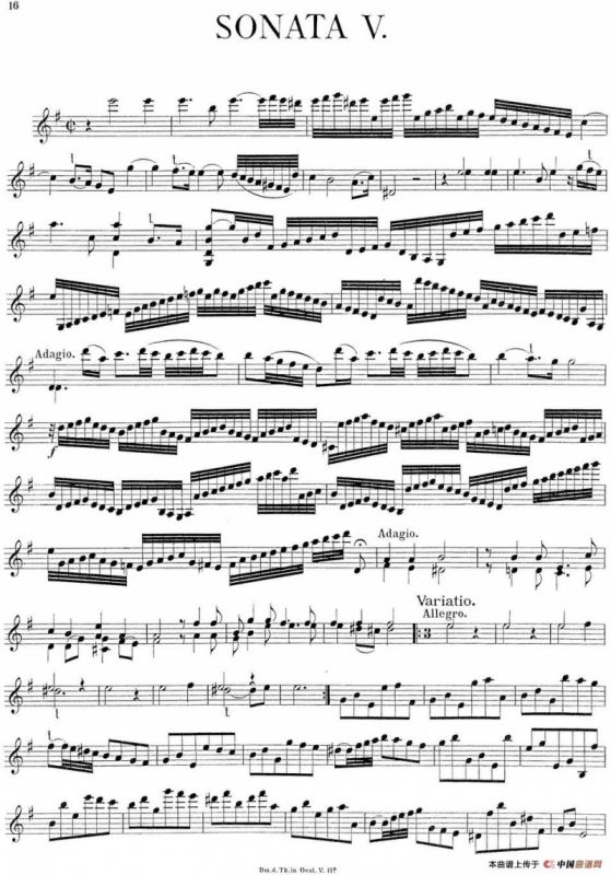 Biber Violin Sonata V