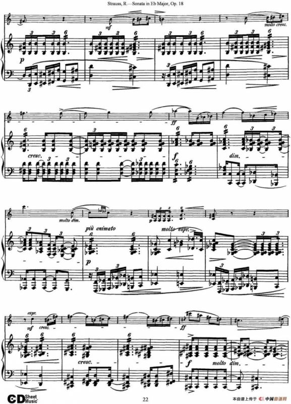 Violin Sonata in Eb Major Op.18（小提琴+钢琴伴奏）