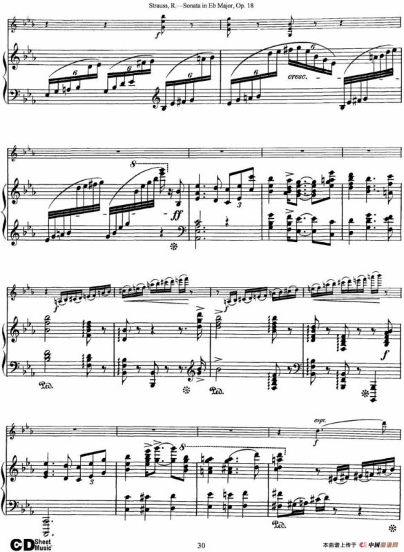 Violin Sonata in Eb Major Op.18（小提琴+钢琴伴奏）