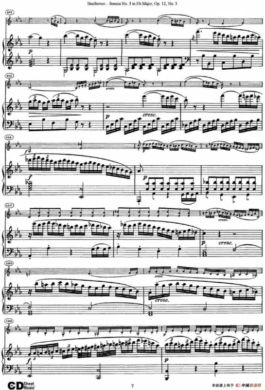 Violin Sonata No.3 in Eb Major Op.12 No.3（小提琴+钢琴伴奏）