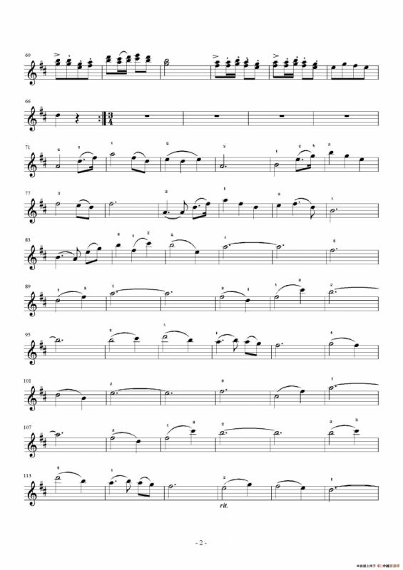 欢乐的假日（小提琴齐奏）