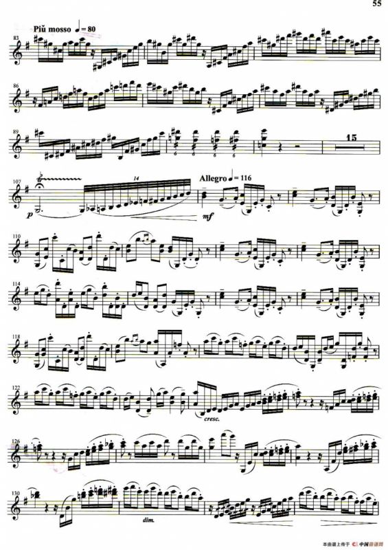 抒情诗（小提琴协奏曲《乡情》第一乐章）