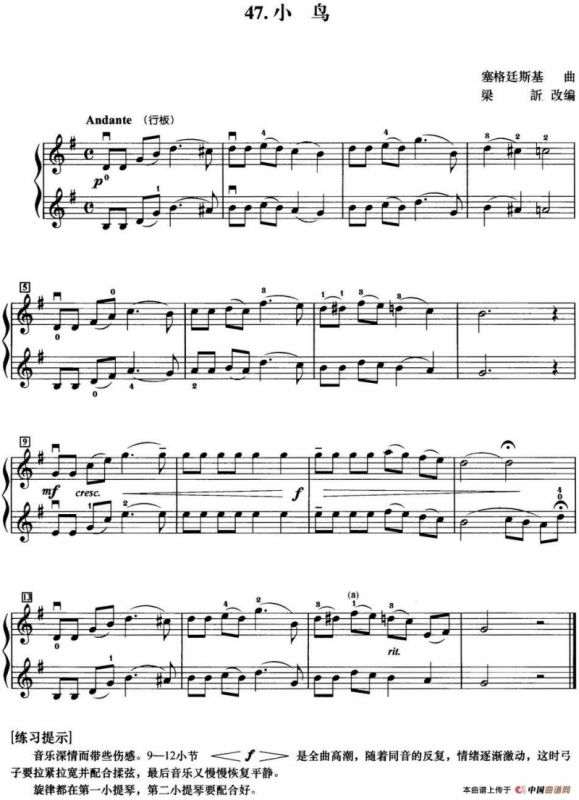 初级小提琴二重奏：小鸟