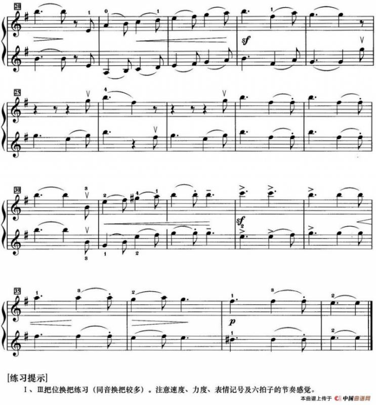 初级小提琴二重奏：沃尔塔瓦河（选自《我的祖国》）