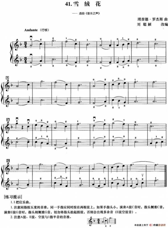 初级小提琴二重奏：雪绒花（选自《音乐之声》）