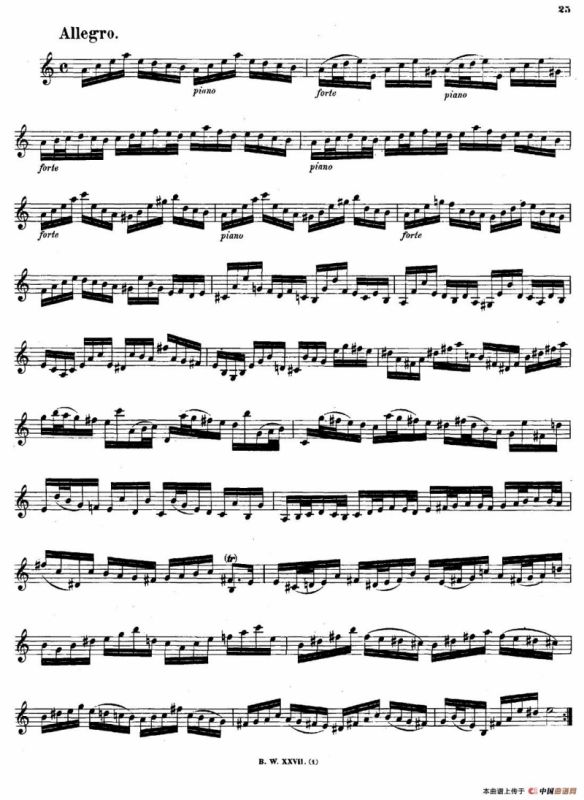 SONATAⅡ（奏鸣曲Ⅱ）