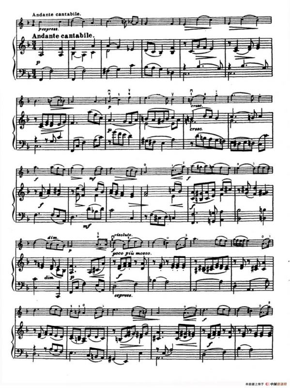 D大调学生协奏曲（塞茨作品第14号）