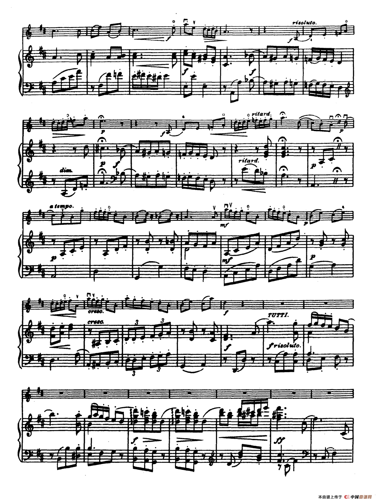 D大调学生协奏曲（塞茨作品第14号）