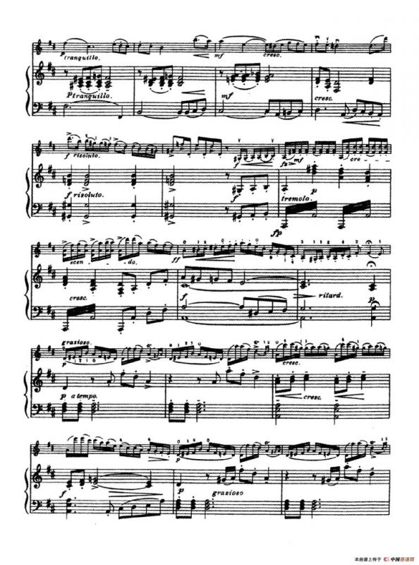 D大调学生协奏曲（塞茨作品第15号）