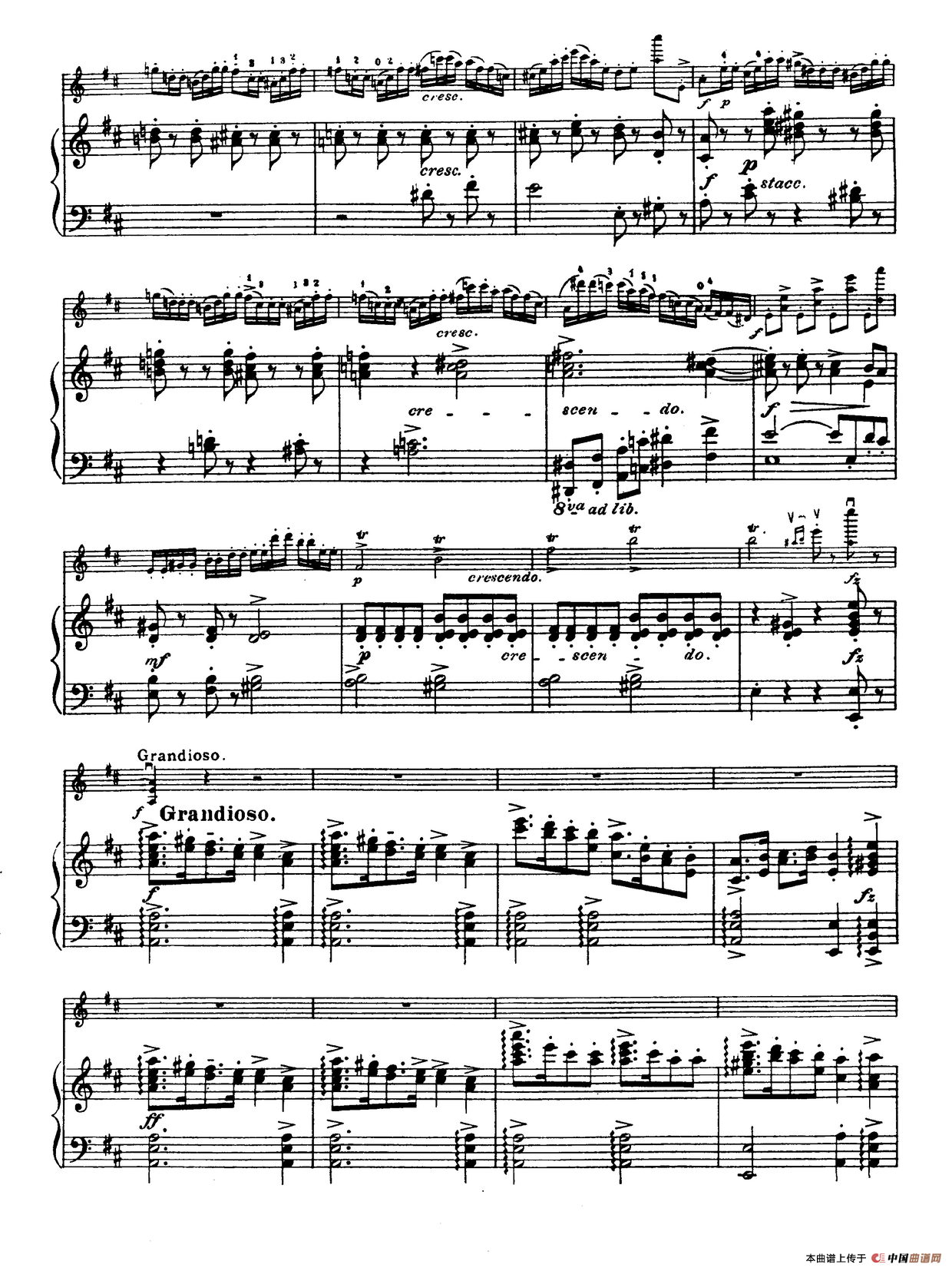 D大调学生协奏曲（塞茨作品第15号）