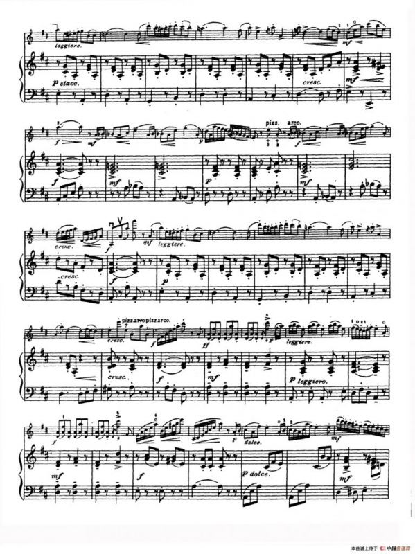 D大调学生协奏曲（塞茨作品第15号）