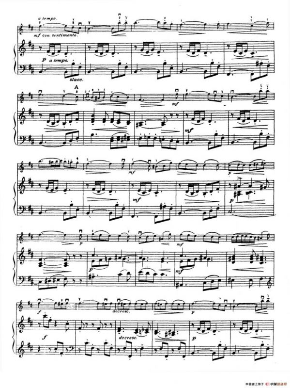 D大调学生协奏曲（塞茨作品第15号）