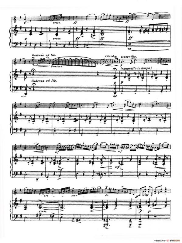 G大调学生协奏曲（塞茨作品第13号）