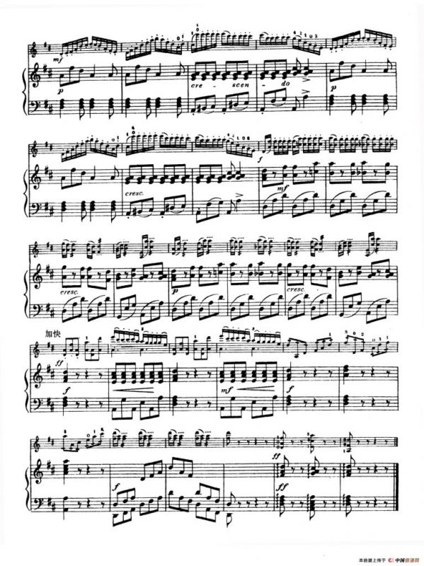 D大调学生协奏曲（塞茨作品第7号）