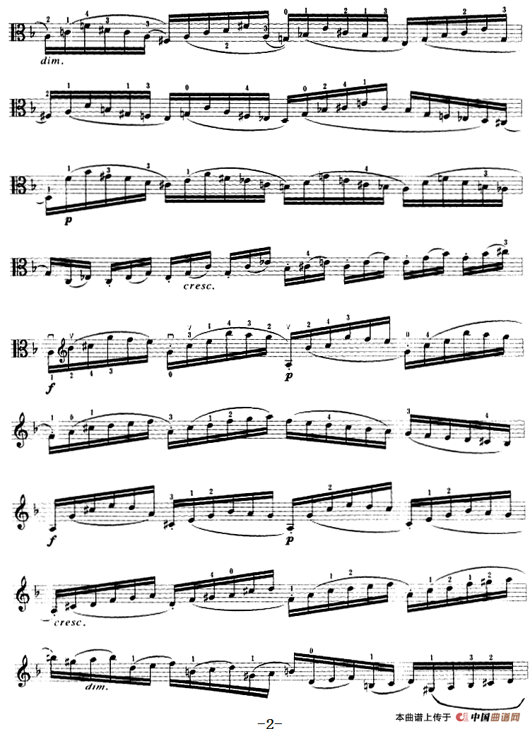 变音体系幻想曲（中提琴）