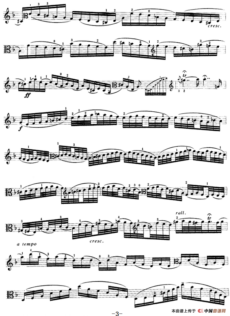 变音体系幻想曲（中提琴）