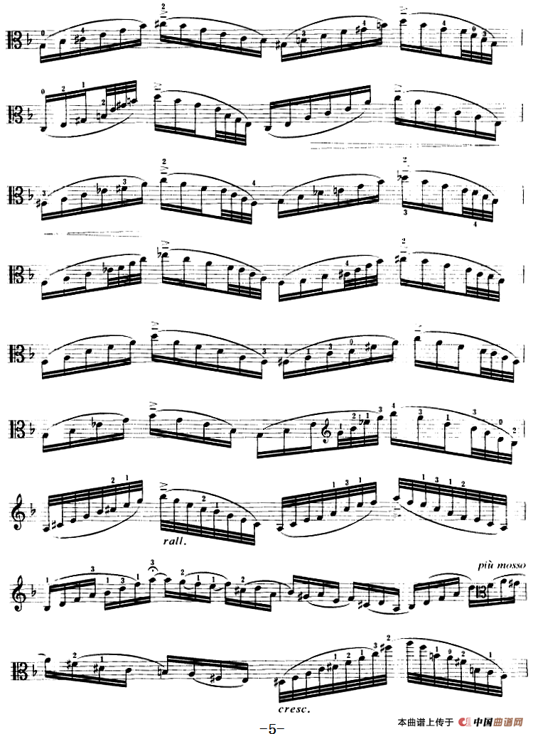 变音体系幻想曲（中提琴）