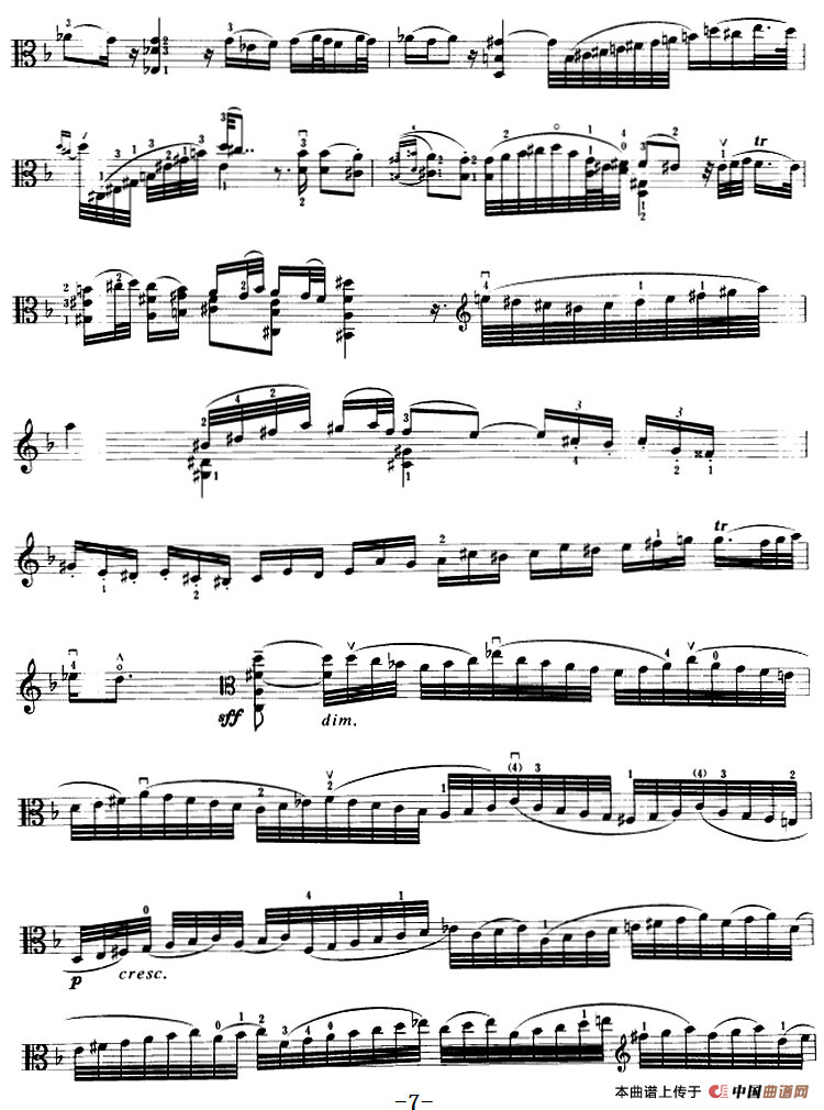 变音体系幻想曲（中提琴）