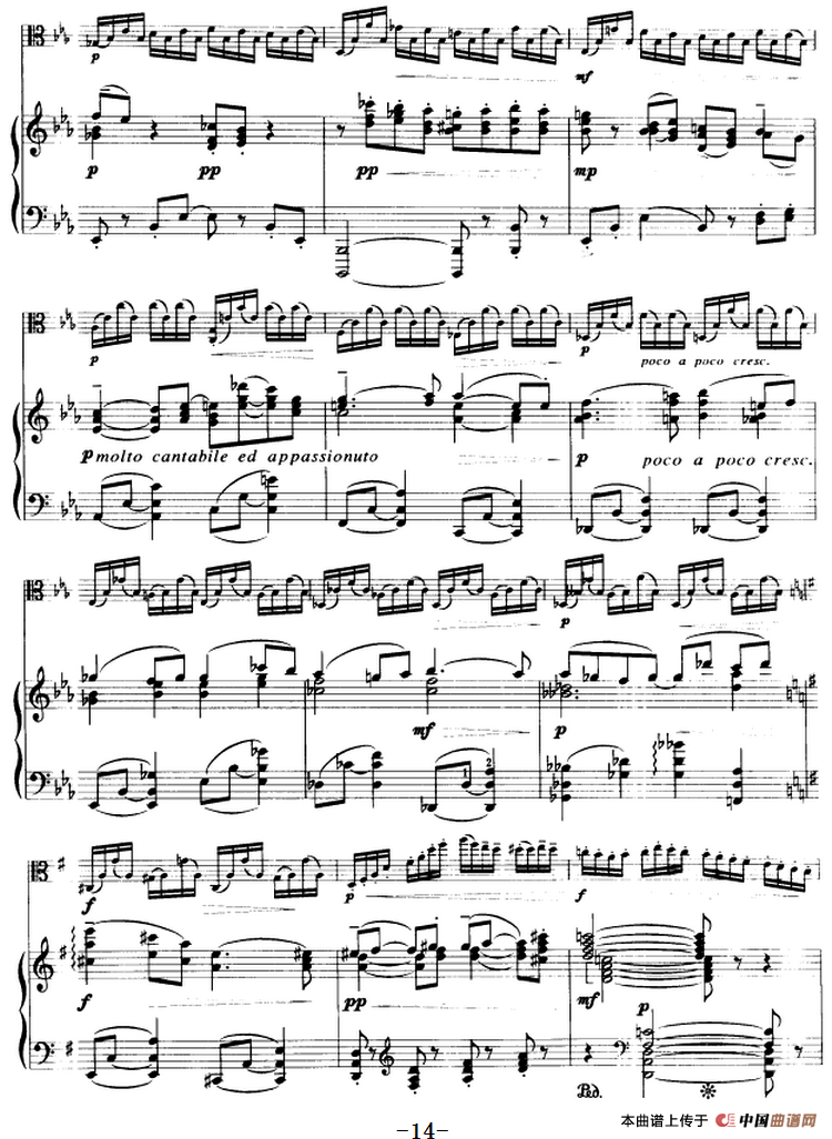 变音体系幻想曲（中提琴）