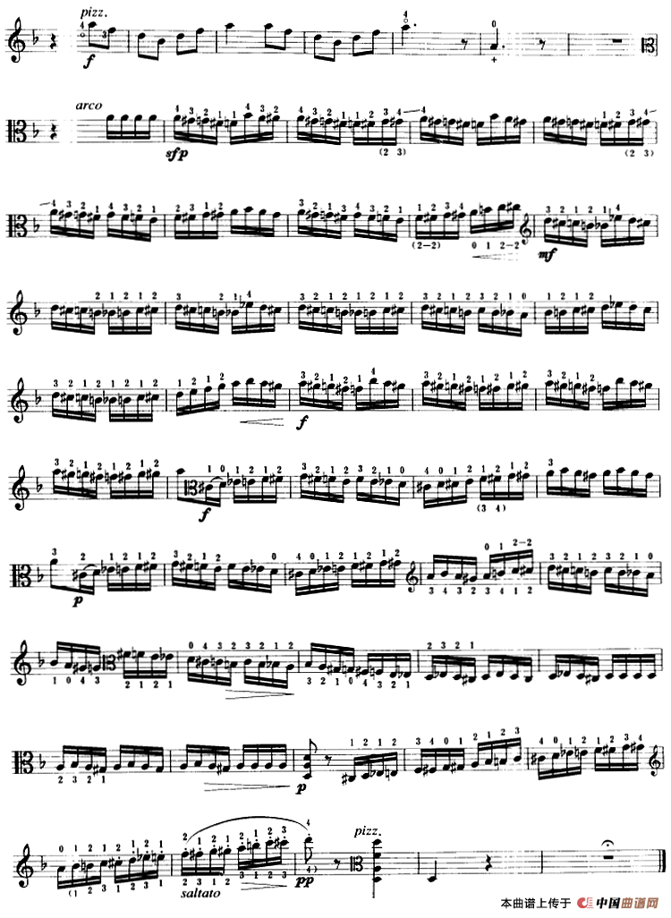 野蜂飞舞（中提琴）