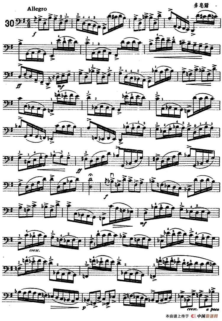 鲍斯特列姆大提琴练习曲（28-30）