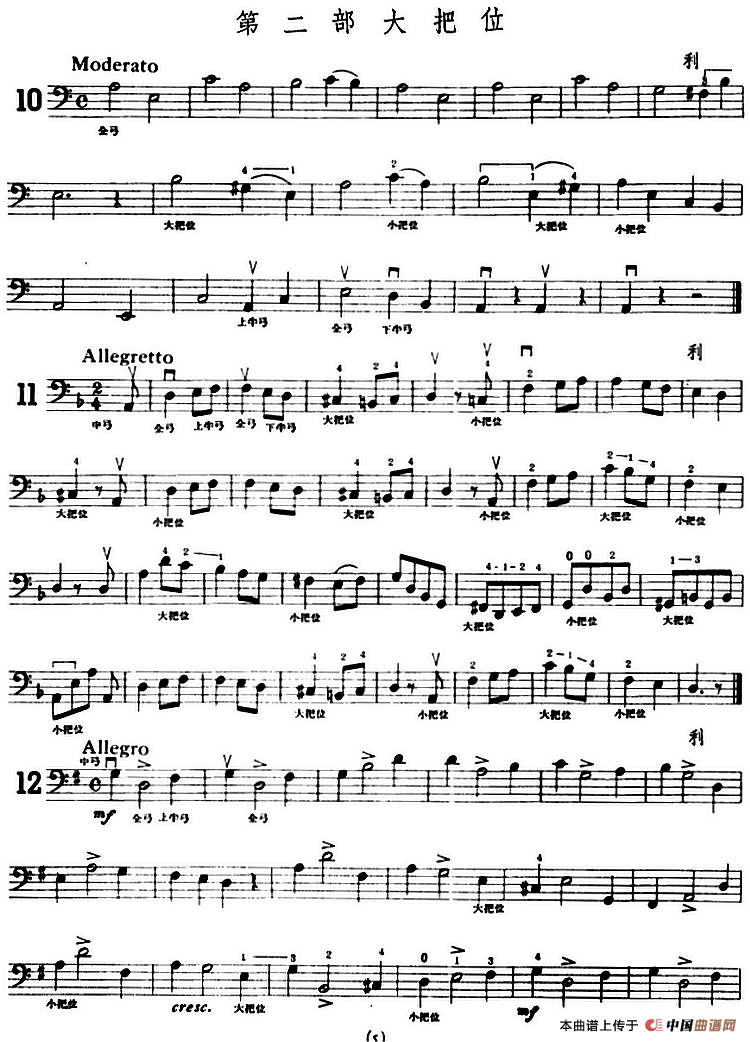大提琴练习曲：大把位（10—15）