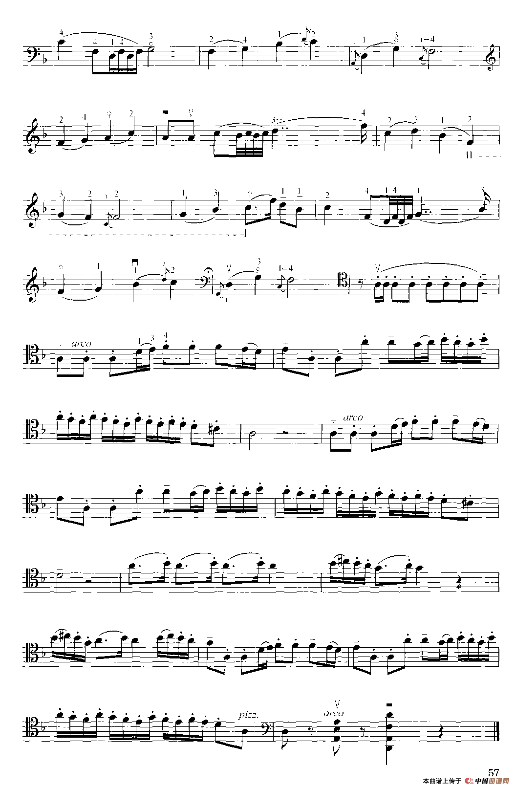 村舞（大提琴）