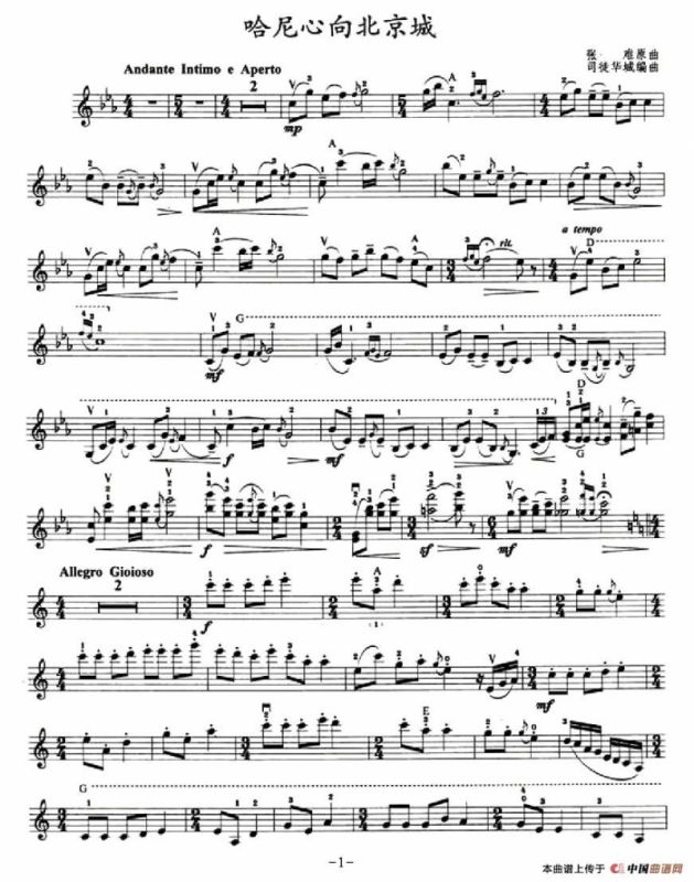 哈尼心向北京城