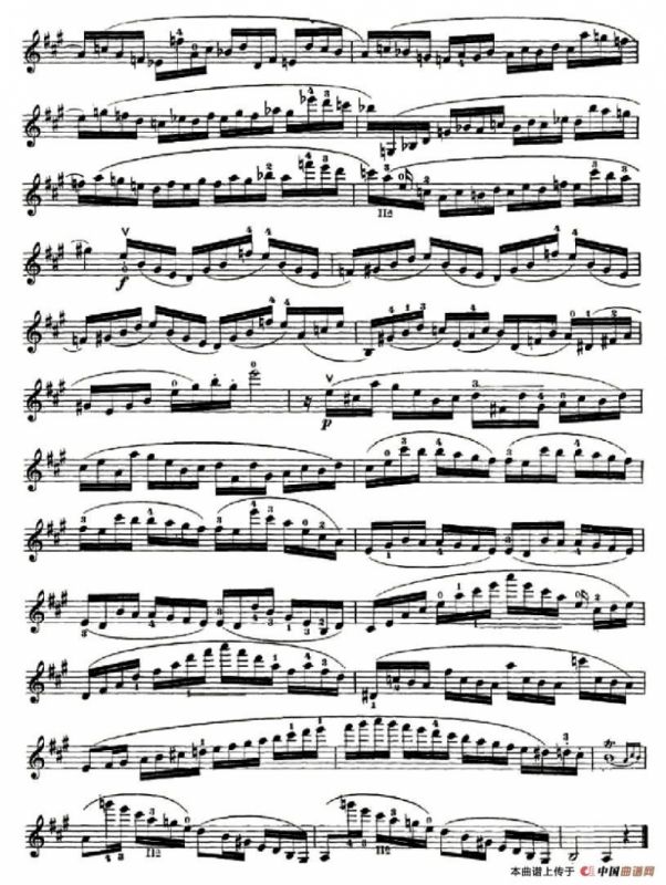 42首练习曲或隨想曲之14