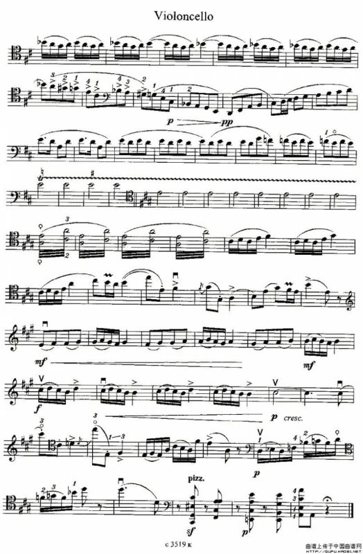 波帕尔（大提琴）