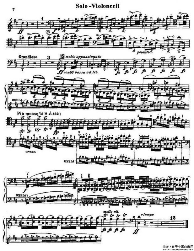 CELLO CONCERTO in B minor（大提琴）