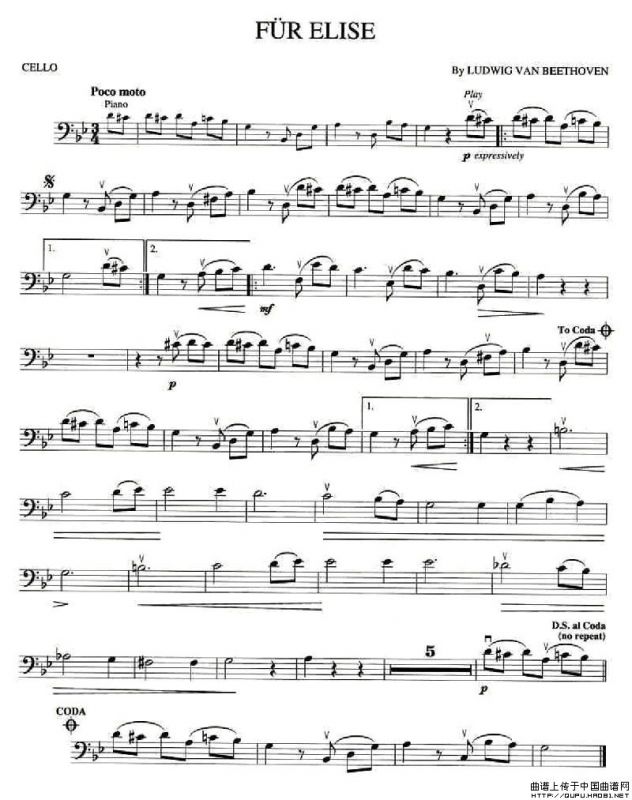 爱丽斯（大提琴）