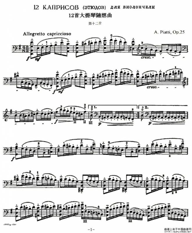 A. Piatti 12 Caprice Op.25（皮阿蒂 12首大提琴随想曲) 第十二）