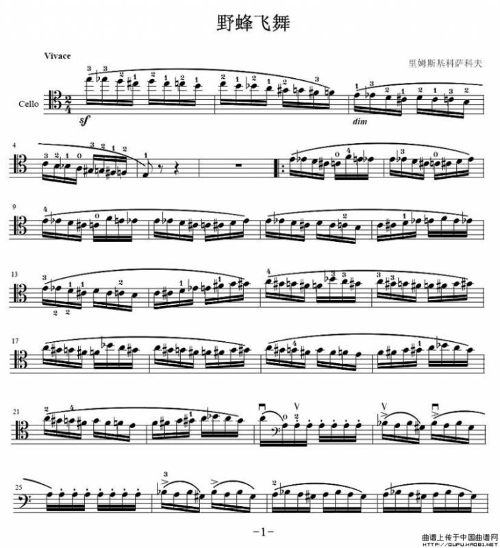 野蜂飞舞（大提琴独奏）