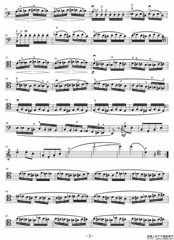 野蜂飞舞（大提琴独奏）