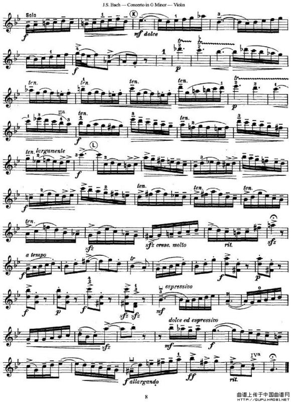 Concerto in G Minor（G小调协奏曲）