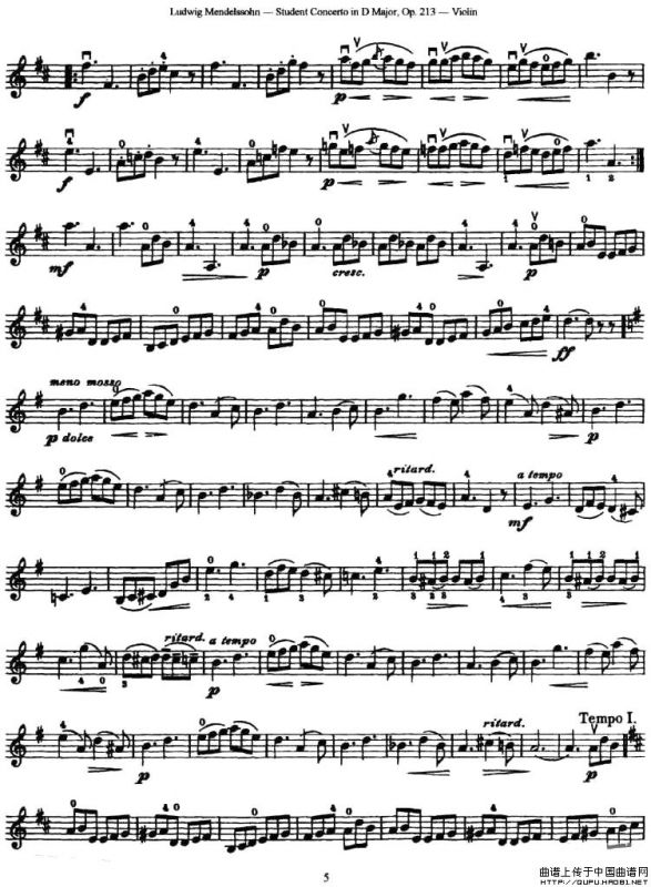 Student Concerto in D Major