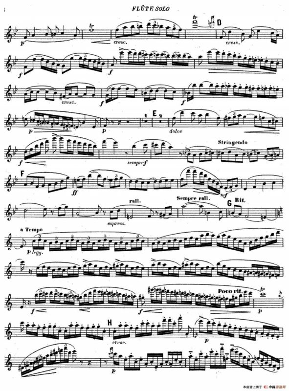 Concertino Op107（长笛协奏曲长笛独奏）