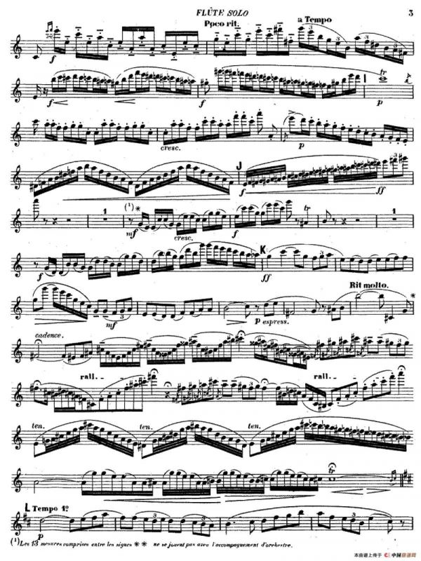 Concertino Op107（长笛协奏曲长笛独奏）