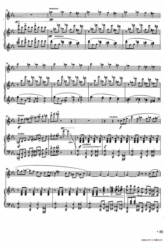 对一段时光的记忆（长笛+钢琴）