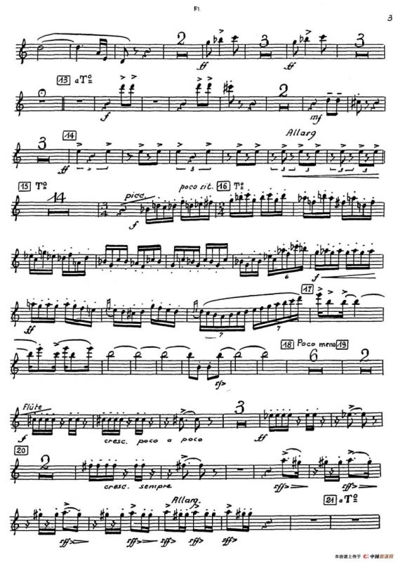 Nonetto（长笛分谱）